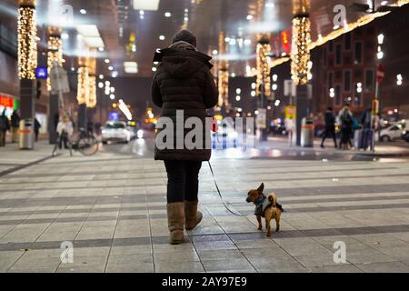 Frau und ihr Hund in der kalten Winternacht durch die Zentrale in Wien. Stockfoto