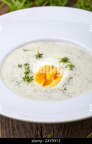 Frische Kervillsuppe mit Ei Stockfoto