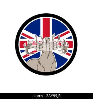 Red Deer Union Jack Flagge Symbol Stockfoto