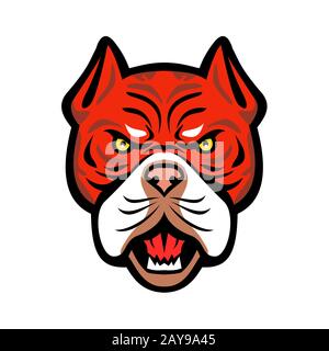 Red Tiger Bulldogge Kopf vorne Maskottchen Stockfoto