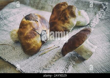 Pilze Steinpilze auf dem Tisch auf eine Serviette. Stockfoto