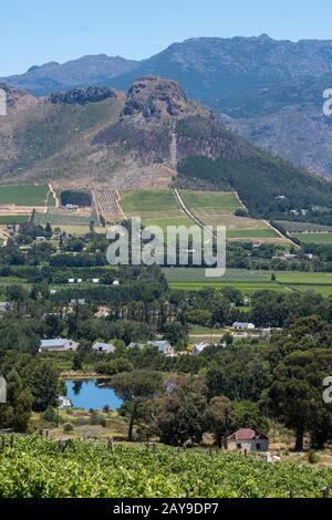 Blick auf die Weinberge im Franschhoek-Tal in der Region Stellenbosch, Provinz Westkap-Süd-Afrika in der Nähe von Kapstadt. Stockfoto