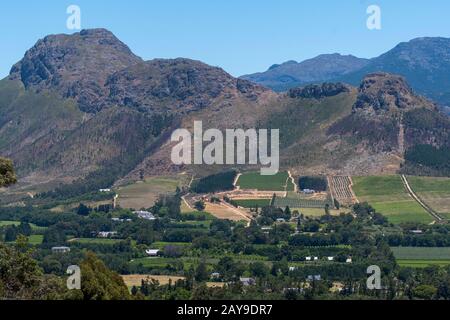 Blick auf die Weinberge im Franschhoek-Tal in der Region Stellenbosch, Provinz Westkap-Süd-Afrika in der Nähe von Kapstadt. Stockfoto