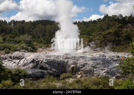 Besucher im Sommer im Geothermiepark Te Puia in Rotorua Stockfoto