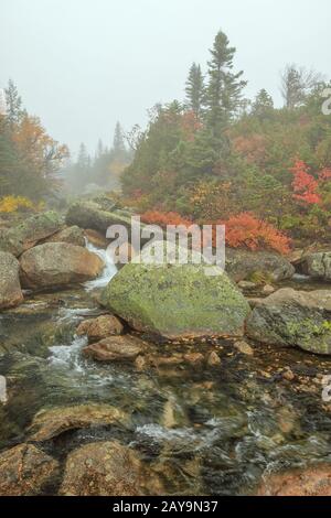 Ein nebliger Herbstmorgen im Baxter State Park. Stockfoto