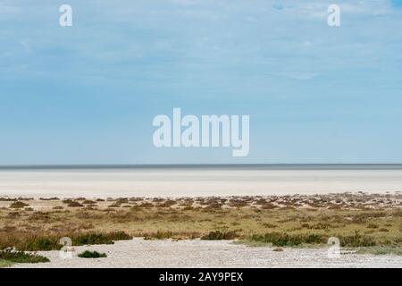 Blick auf die karge Landschaft mit dem Etosha Pan im Etosha-Nationalpark im Nordwesten von Namibia. Stockfoto