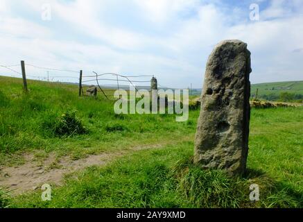 Hoher Stehstein oder alter Gatepost mit altem Fechten und Metalltor im pfenniner Weideland Stockfoto