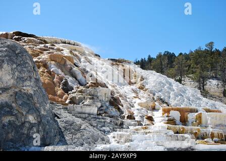 Yellowstone Nationalpark, Wyoming Stockfoto