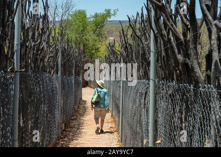 Der Weg zum Wasserloch blind in der Ongava Lodge im Ongava Game Reserve, südlich des Etosha-Nationalparks im Nordwesten von Namibia. Stockfoto