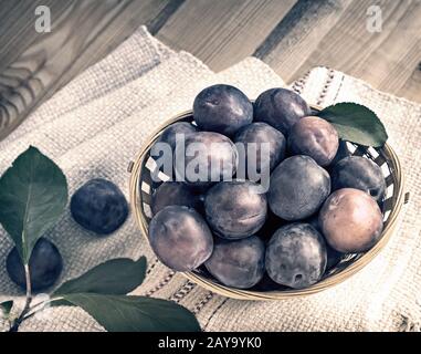 Große reife Pflaumen in einem Weidenkorb. Stockfoto