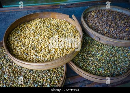 Kopi Luwak Kaffeebohnen, Bali, Indonesien Stockfoto