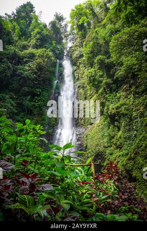 Melanting Waterfall, Munduk, Bali, Indonesien Stockfoto