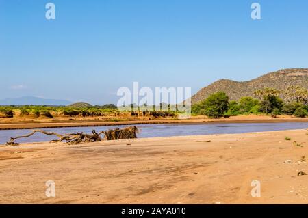 Blick auf den Fluss Ewaso Ng'iro in der Savanne Stockfoto