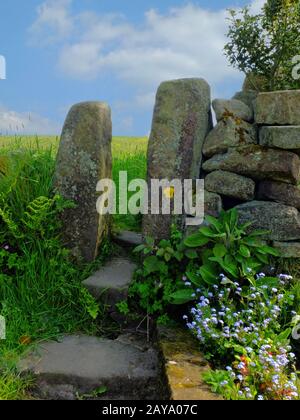Traditionelles Steintor oder Stile in einer trockenen Steinmauer mit Blumen und Farnen in einer Quellwiese Stockfoto
