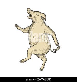 Jolly Pig Dancing Drawing Retro Color Stockfoto