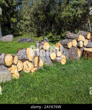 Das für den Winter zubereitete Brennholz Stockfoto