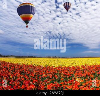 Zwei riesige Farbballons Stockfoto