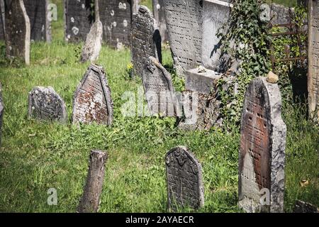 Alter jüdischer Friedhof Stockfoto