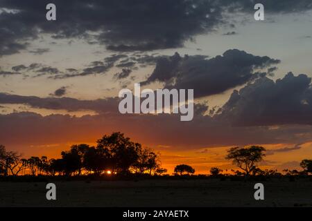 Dramatische Wolken über Silhouettebäumen bei Sonnenuntergang in der Jao-Konzession, Okavango-Delta in Botswana. Stockfoto