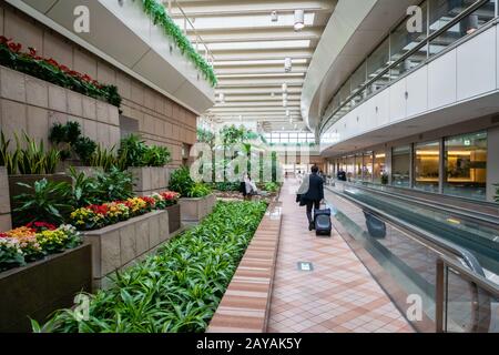 Tokio, Japan - Februar 2020: Tokyo Haneda International Airport Interior Architecture. Der Flughafen Tokio-Haneda ist einer der meistfrequentierten Flughäfen der Welt Stockfoto