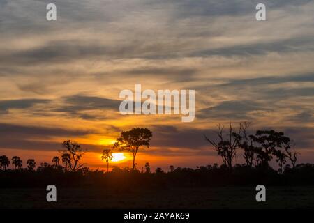 Sonnenuntergang über dem Gebiet der Gomoti Plains, einer Konzessionierung für Gemeindelauf, am Rande des Gomoti-Flusssystems südöstlich des Okavango-Deltas, Botswana. Stockfoto