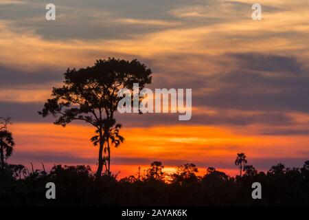 Sonnenuntergang über dem Gebiet der Gomoti Plains, einer Konzessionierung für Gemeindelauf, am Rande des Gomoti-Flusssystems südöstlich des Okavango-Deltas, Botswana. Stockfoto