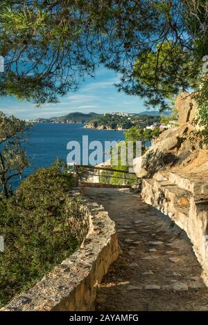 FUSSWEG CALAS LLORET DE MAR COSTA BRAVA KATALONIEN SPANIEN Stockfoto