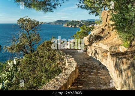 FUSSWEG CALAS LLORET DE MAR COSTA BRAVA KATALONIEN SPANIEN Stockfoto