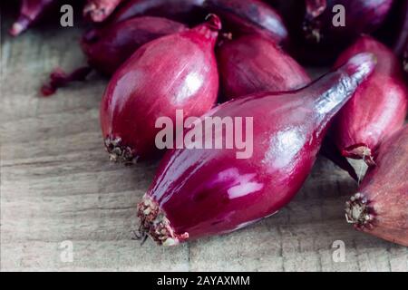 Purple onion Sets zum Anpflanzen im Boden Stockfoto