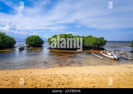 Mangrovenstrand, Insel Nusa Lembongan, Bali, Indonesien Stockfoto