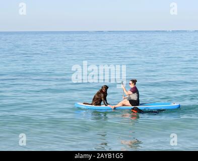 Frau, die mit Hund an einem Surfbrett am Whitford Dog Beach in Perth Australia gesehen wurde. Stockfoto