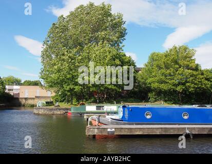 Alte schmale Boote, die in Hausboote umgewandelt wurden, die im Jachthafen am brighouse Becken im Westen yorkshire von Bäumen und einem bri umgeben waren Stockfoto