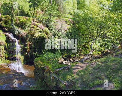 lumb Hole fällt in der Nähe von Pecket Well in calderdale im Westen yorkshire einen Wasserfall in Wald bei Crimsworth Dean Stockfoto