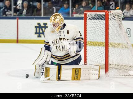 South Bend, Indiana, USA. Februar 2020. Notre Dame Torwarttrainer Cale Morris (32) macht die Rettung während der NCAA Hockeyspielaktion zwischen den Minnesota Golden Gophers und den Notre Dame Fighting Irish in der Compton Family Ice Arena in South Bend, Indiana. John Mergits/CSM/Alamy Live News Stockfoto