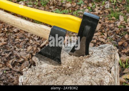 Zwei Achsen mit Stahlklingen in alter Baumstumpf im Herbst Laub Hintergrund klemmt Stockfoto