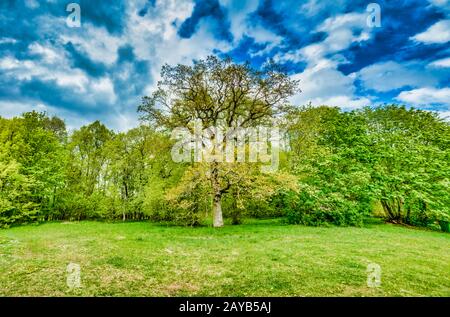 Munk Meadows Naturreservat Stockfoto