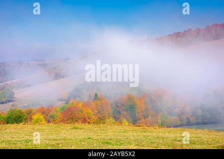 Nebelige Berglandschaft im Herbst, Wolken ragen an einem sonnigen Morgen über die sanften Hügel. Wundervolle Landschaft mit Bäumen im Herbstlaub und grasig Stockfoto