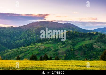 Ländliche Landschaft in den Bergen in der Abenddämmerung. Wundervolle Aussicht auf die landschaft der karpaten mit Feldern und Bäumen auf sanften Hügeln. Leuchtende violette Wolken am Himmel. Stockfoto