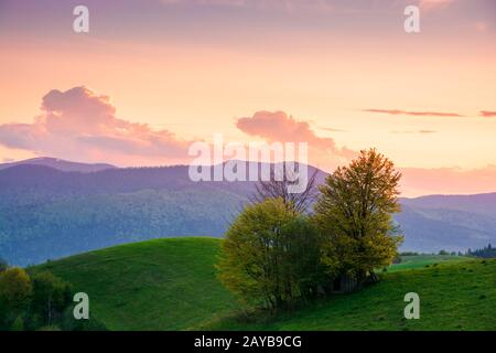 Ländliche Landschaft in den Bergen in der Abenddämmerung. Wundervolle Aussicht auf die landschaft der karpaten mit Feldern und Bäumen auf sanften Hügeln. Leuchtende violette Wolken am Himmel. Stockfoto