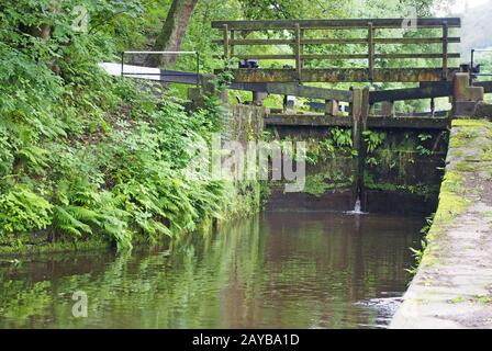 Alte Holzschleuse am rochdale Kanal überwuchert mit Pflanzen und Farnen in einem ländlichen Waldgebiet in der Nähe der hebden Brücke in We Stockfoto