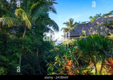 Traditionelles Haus im Dschungel Wald, Sidemen, Bali, Indonesien Stockfoto