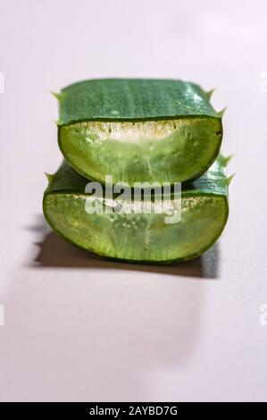 Aloe vera schneidet auf pinkfarbenem Hintergrund. Gesundheits- und Schönheitskonzept. Stockfoto