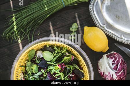 Frühlingsgrüner Salat aus Baby-Spinat, Kräutern, Rubbeln und Salat. Dressing von Joghurt, Olivenöl, Honig und Zitrone. Stockfoto