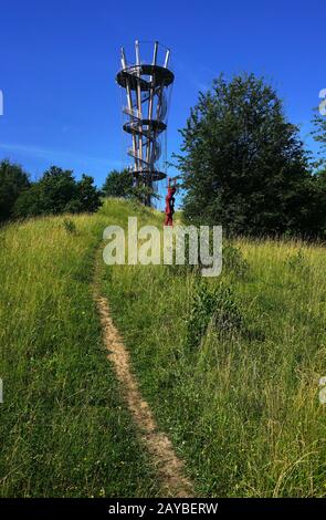 Turm im Schönbuch-Wald, Deutschland, Baden-Württemberg Stockfoto