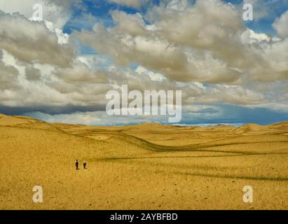 Die Mongolei. Sands Mongol Els, sandige Dünenwüste, Stockfoto