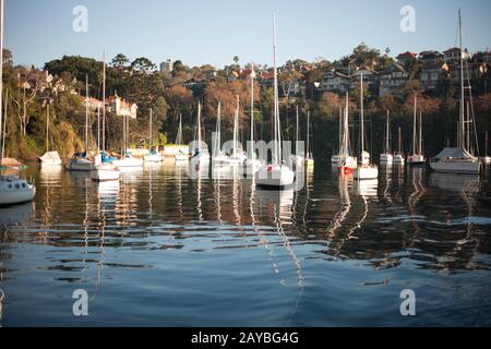 Segelboote im Hafen von Sydney Stockfoto