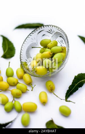 Neem Fruit oder nim Fruit oder indische Fliesenfrucht in einer auf Weiß isolierten Glasschale zusammen mit einigen frischen Blättern. Stockfoto