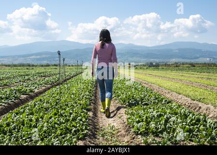 Frau mit grünen Stiefeln, die auf Spinatfeld laufen. Stockfoto