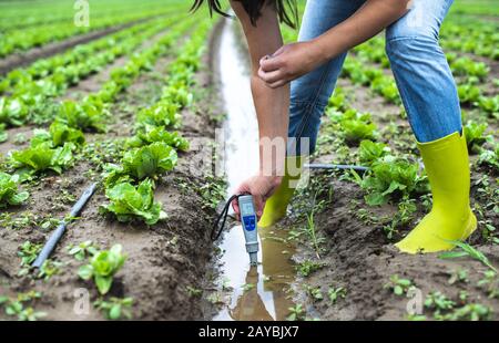 Frau fasziniert Bewässerungswasser mit digitalem PH-Meter im Bewässerungskanal. Stockfoto