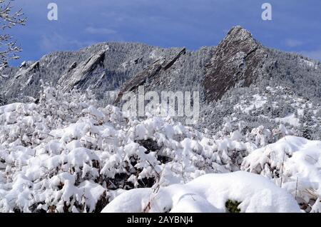 Die Flatirons auf dem Green Mountain sind das kultige Symbol von Boulder Colorado. Schneebedeckte Büsche im Vordergrund. Stockfoto